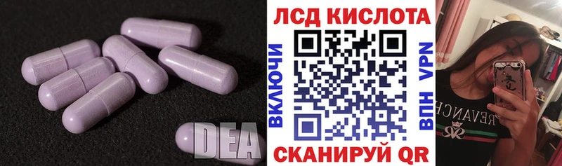 Купить закладки  Шенкурск  LSD-25 экстази ecstasy 