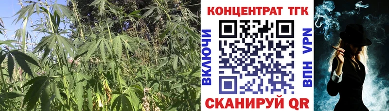 Купить  Шенкурск  Дистиллят ТГК жижа 