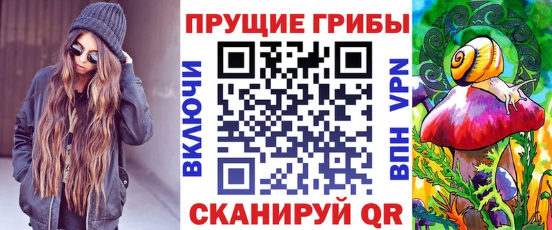 Галлюциногенные грибы Magic Shrooms  Купить закладки  Шенкурск 