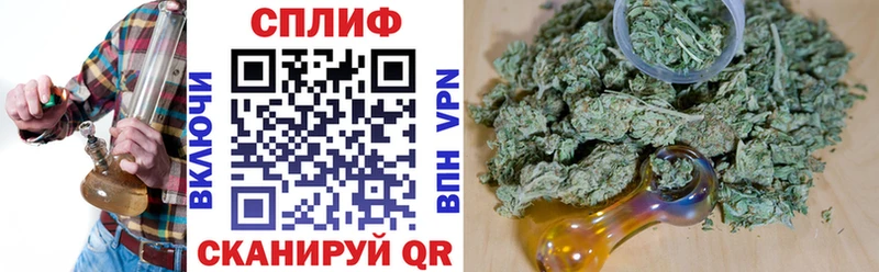 Купить закладки  Шенкурск  Канабис семена 